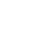 Stock Checking Icon